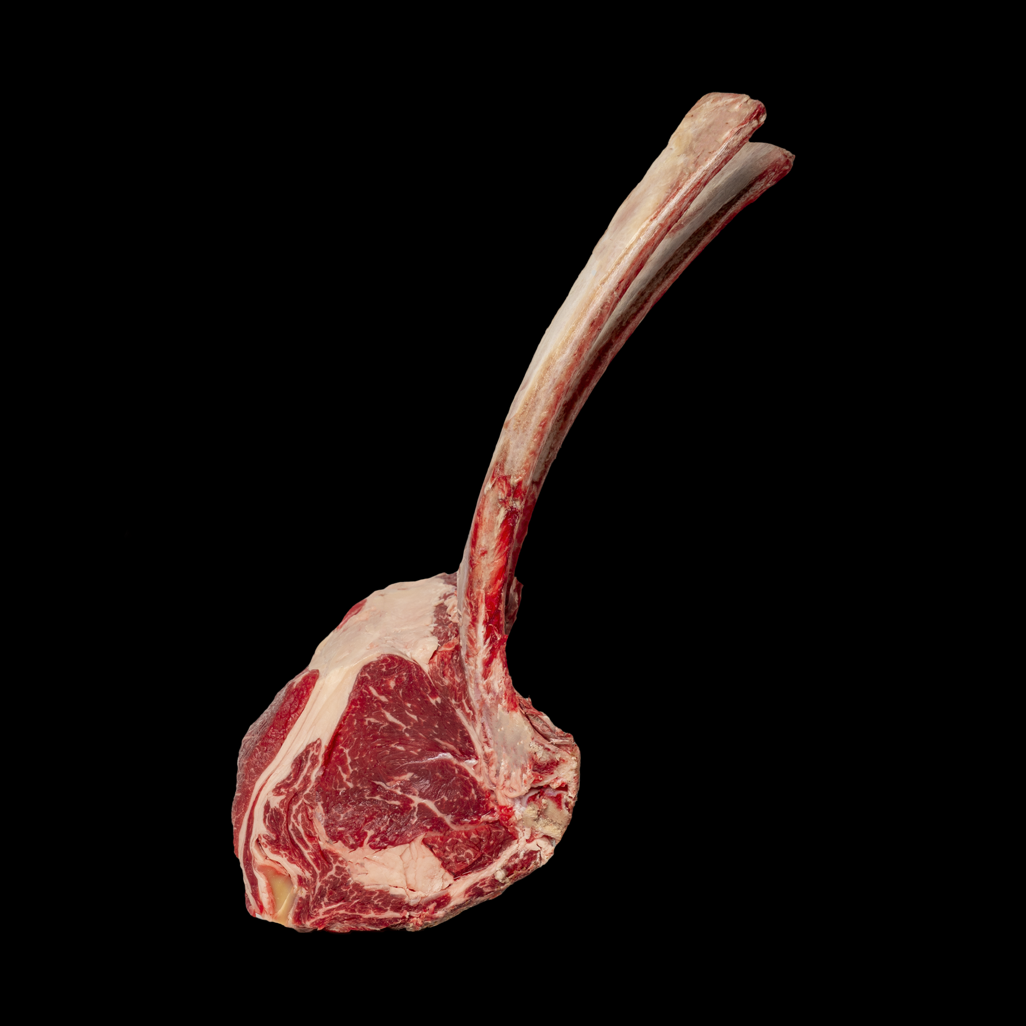 TOMAHAWK