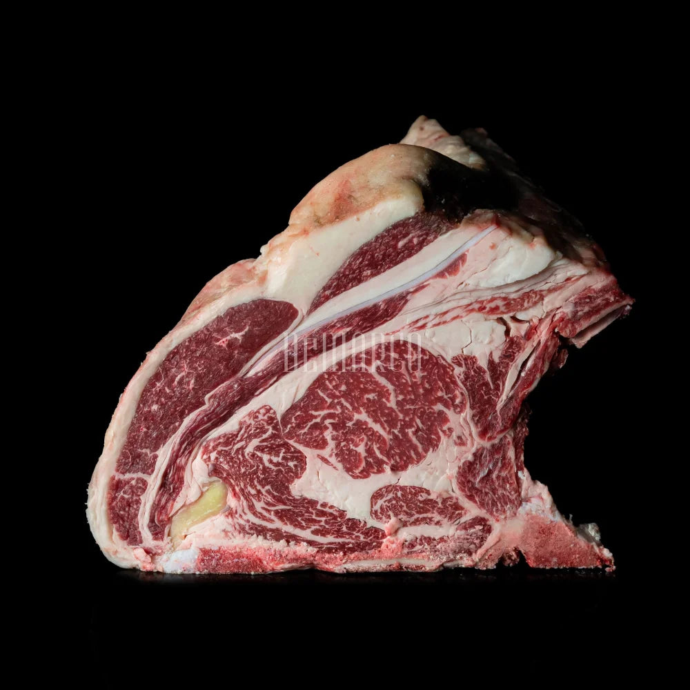 COSTATA DI MANZETTA PRUSSIANA