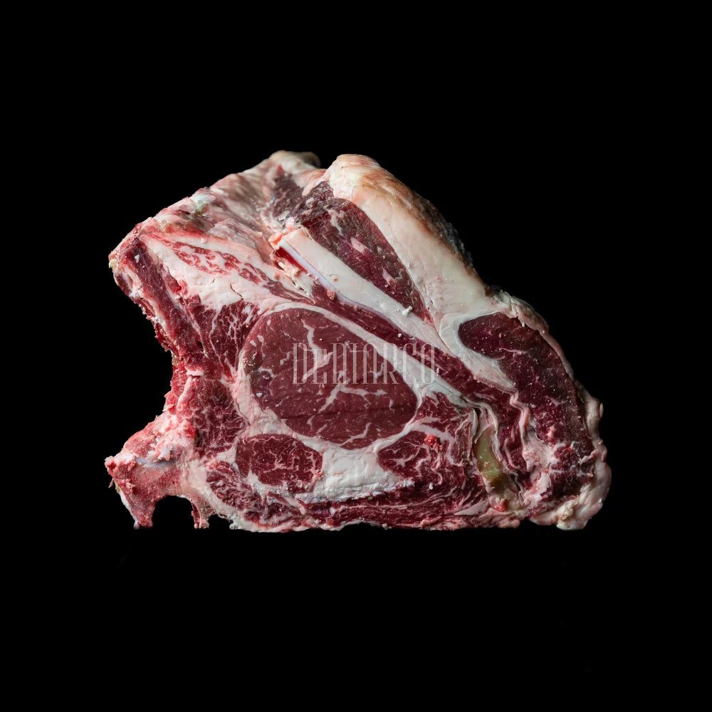 SELEZIONE MIGUEL VERGARA